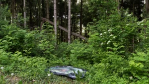 What remains of the rain